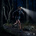 Waterproof Super Bright Cob Headlamp