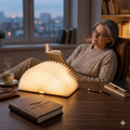 Foldable Rechargeable Book Lamp